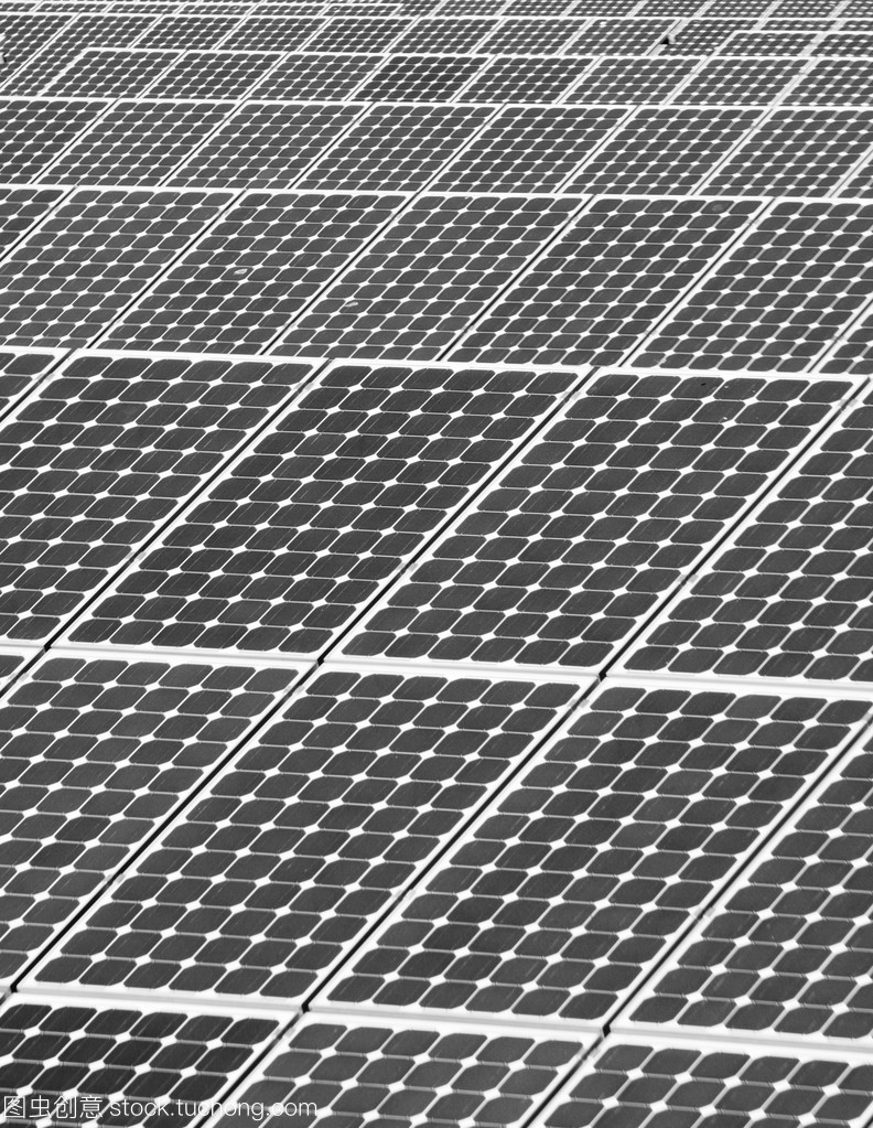 japonensisjava免费看强妗