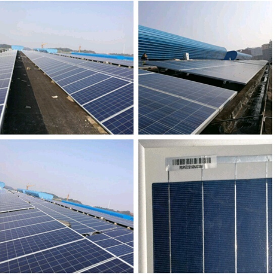 linode日本iphone奶妈