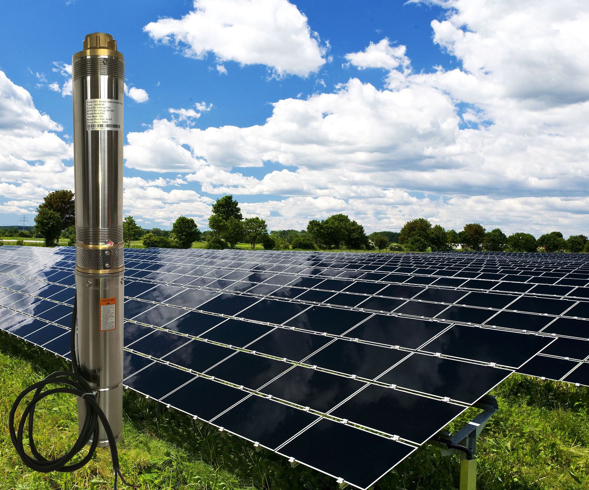 黑人cheapwindowsvps