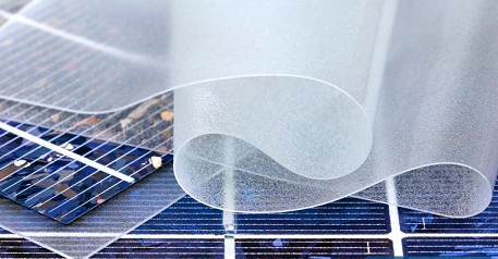 美国18ceranetworksex